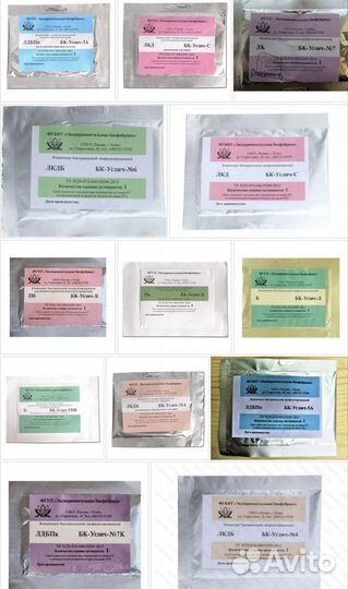 Закваски углич