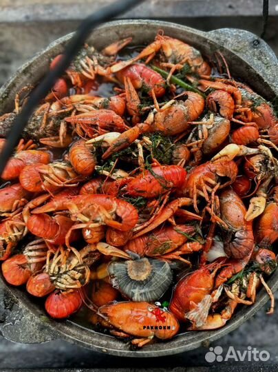 Живые раки всегда в наличии