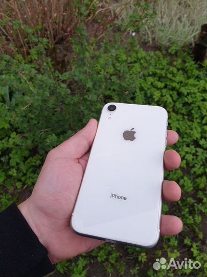 iPhone Xr, 64 ГБ