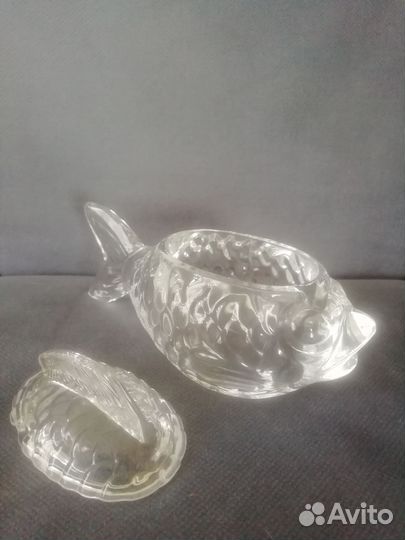 Стекляннвя рыбка