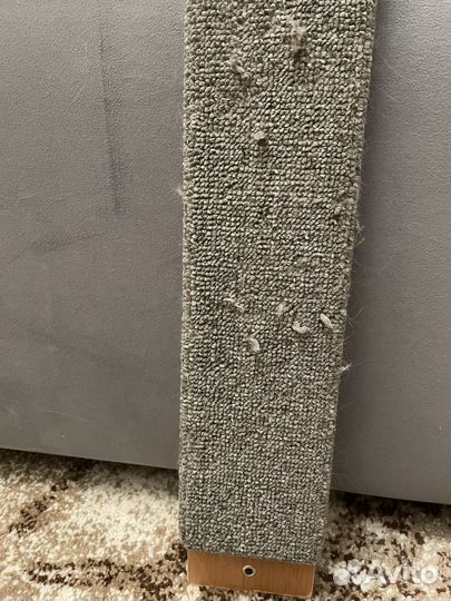 Когтеточка для кошек