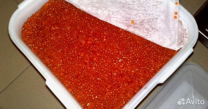 Красная Икра в банках по 500г парт V2024-R-10127