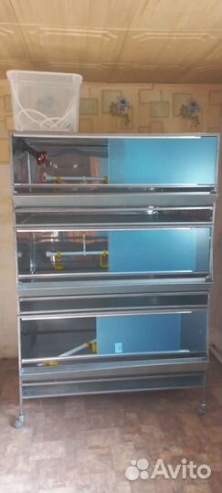 Брудер для цыплят