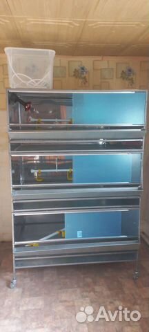 Брудер для цыплят