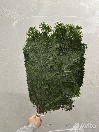 Пихтовый веник