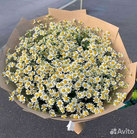 Ромашки Букет из ромашек доставка