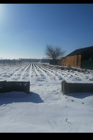 Участок 12 га (ИЖС)