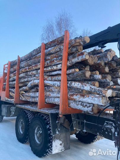Дрова хлыстами береза