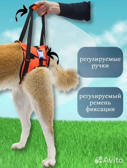 Ходунки для крупных/средних собак,поддержка лап