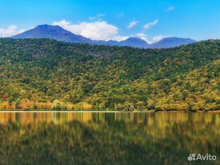 Экскурсия — Баку — Габала — путешествие в горный А