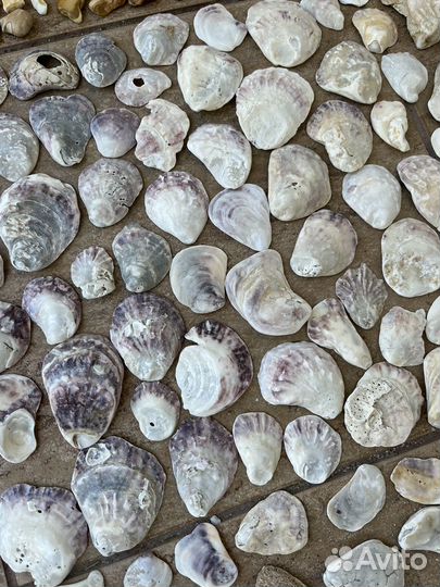 Ракушки морские камни стекло для рукоделия