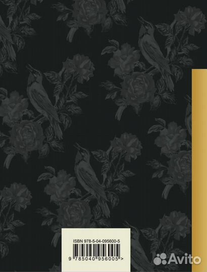 Стихотворения Фет Афанасий Афанасьевич