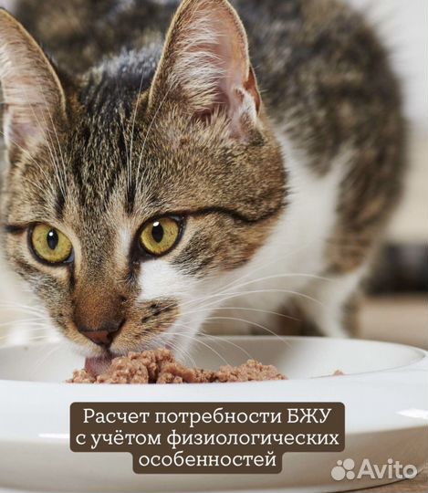 Ветдиетолог