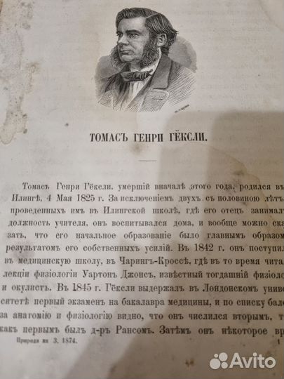 Старинные книги цена за всё