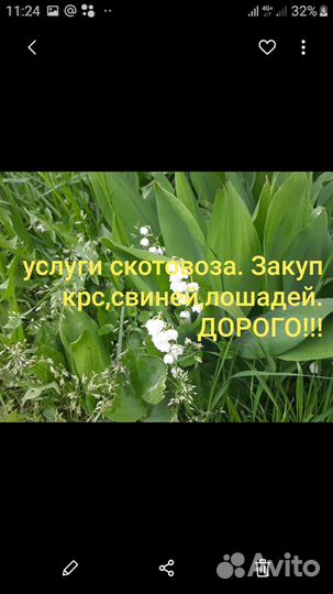 Перевозка с/х животных