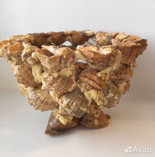 Ваза из ракушек