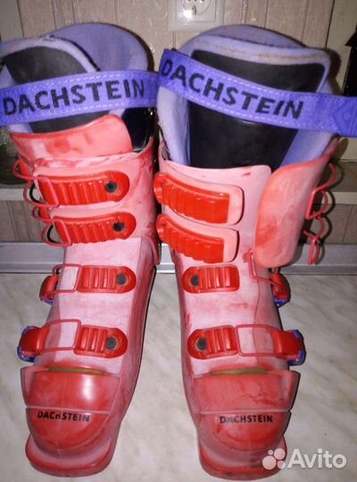 Горнолыжные ботинки