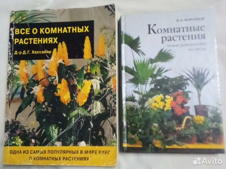 Комнатные растения