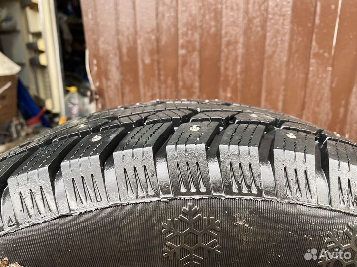 Ovation EcoVision W-686 195/65 R15 91