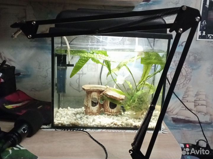 Микрофон для компьютера