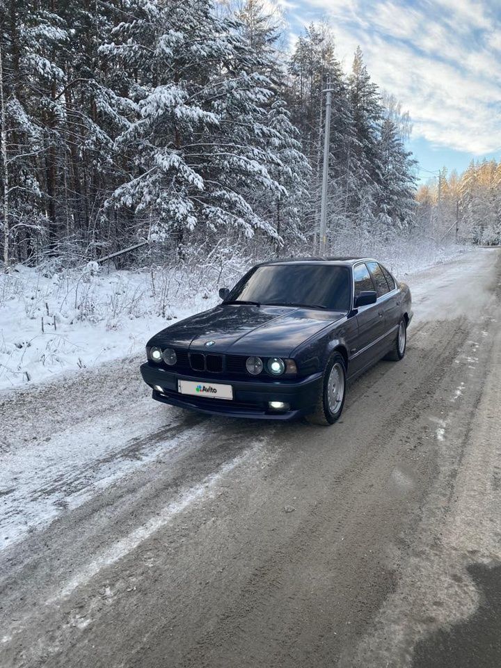 BMW 5 серия: фото владельца