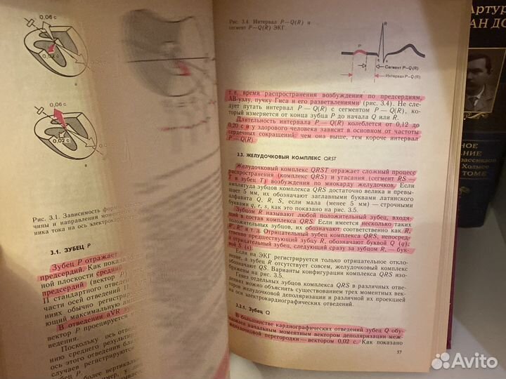 Экг мурашко струтынский 1991 год