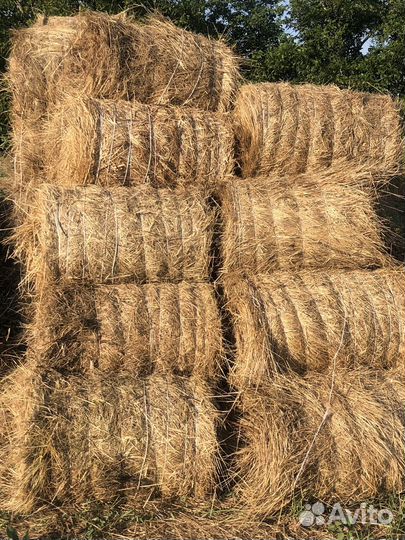 Продажа сена в рулонах разнотравие- луговое