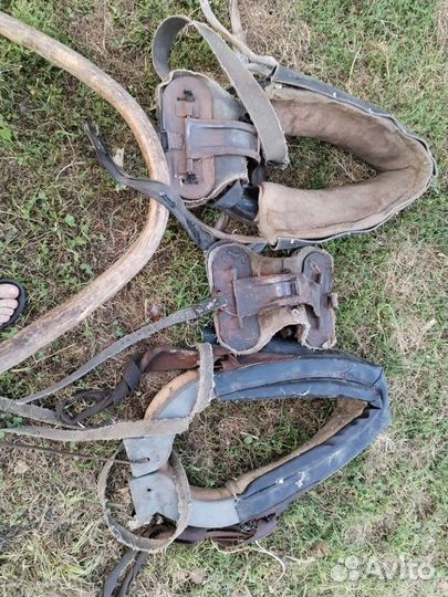 Сбруя для лошади, седло