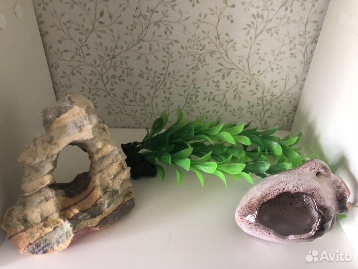 Аквариум с декором