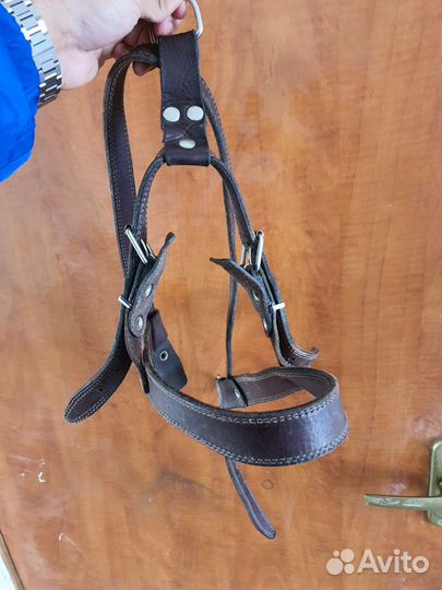 Шлейка для собаки