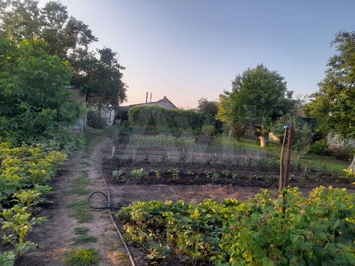 Дом 45,8 м² на участке 21 сот.