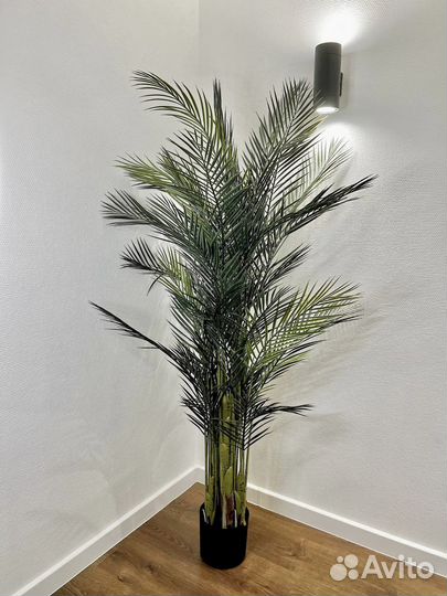 Искусственные деревья / фитокартина Тольятти