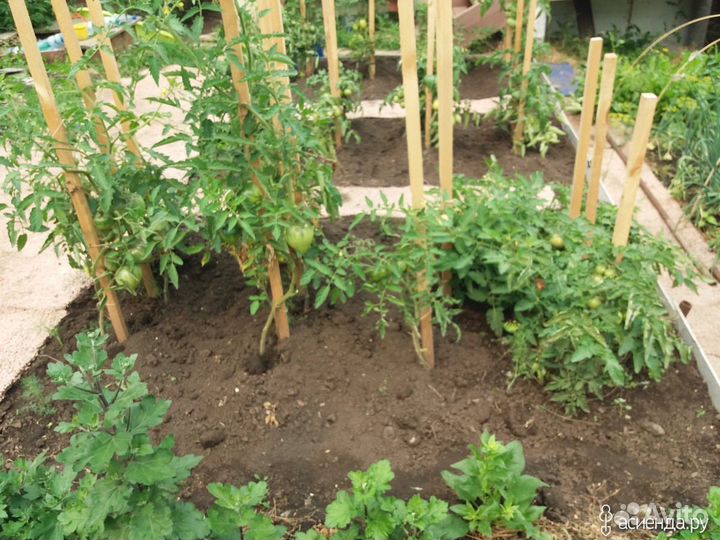 Опоры / колышки для сада и огорода / Киров