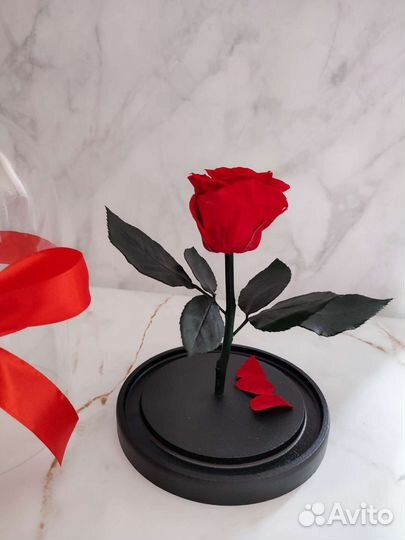 Роза в колбе