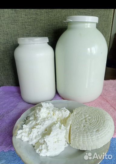 Козье молоко, сыр, творог