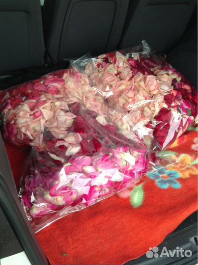 Лепестки роз