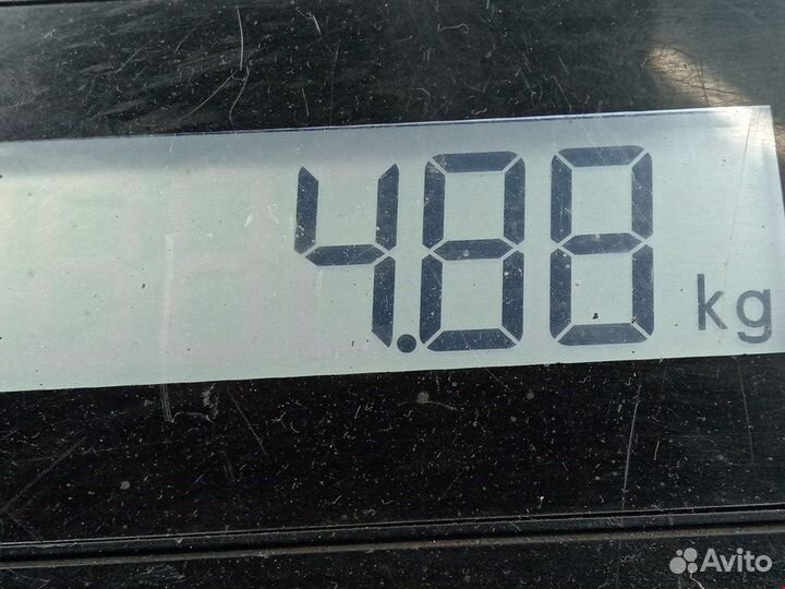 Полуось для Ford Focus 2