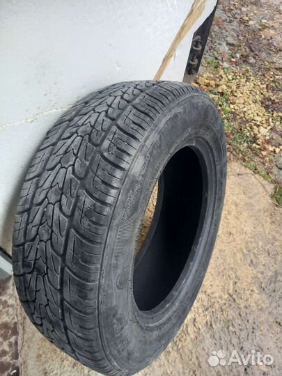 Nexen Euro-Win 600 21.5/65 R16 105L