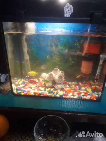 Аквариум