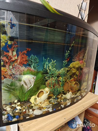 Аквариум с рыбками, инвентарём и тумбой