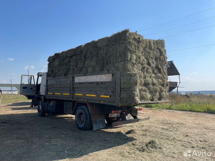 Сено в квадратных тюках