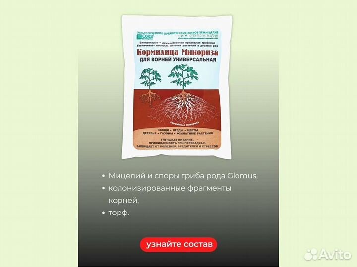 Кормилица Микориза