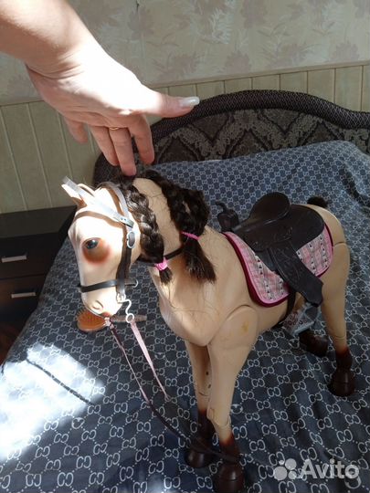 Лошадь большая