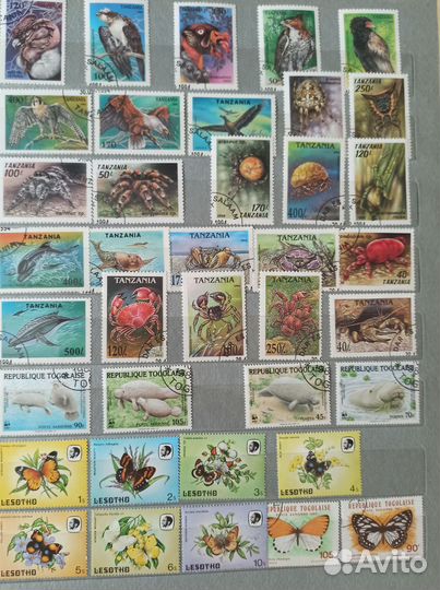 Почтовые марки Фауна