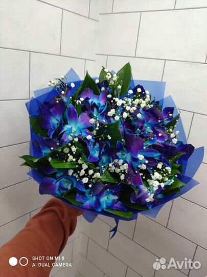 Букеты цветы корзины гипсофила розы