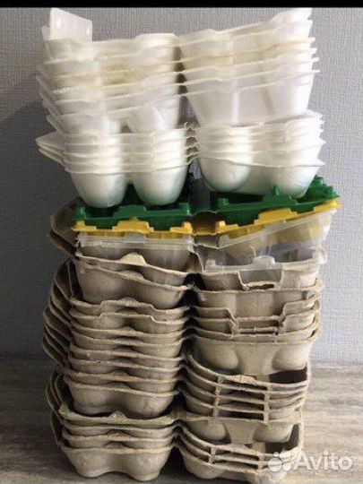 Яичные лотки