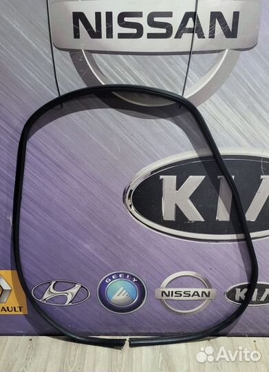 Уплотнитель зад проема двери Nissan qashqai J10 Пр