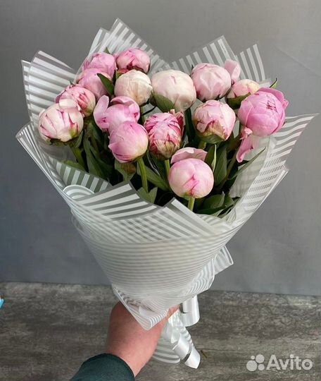 Пионы Букеты Цветы