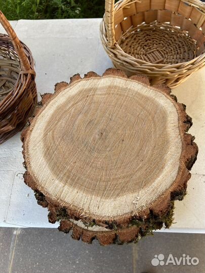 Спил дуба вяз ясень слэб