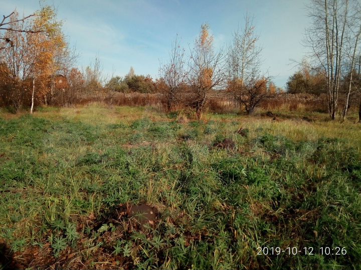 Участок 10 сот. (СНТ, ДНП)